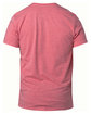 Threadfast Unisex Ultimate CVC T-Shirt RED HEATHER OFBack
