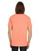 Threadfast Unisex Pigment-Dye Short-Sleeve T-Shirt TANGERINE ModelBack