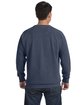 Comfort Colors Adult Crewneck Sweatshirt DENIM ModelBack