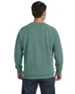 Comfort Colors Adult Crewneck Sweatshirt LIGHT GREEN ModelBack