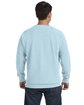 Comfort Colors Adult Crewneck Sweatshirt CHAMBRAY ModelBack