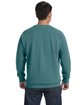 Comfort Colors Adult Crewneck Sweatshirt BLUE SPRUCE ModelBack