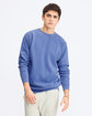 Comfort Colors Adult Crewneck Sweatshirt  Lifestyle