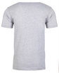Next Level Unisex Cotton T-Shirt HEATHER GRAY FlatBack