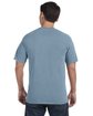 Comfort Colors Adult Heavyweight T-Shirt ICE BLUE ModelBack