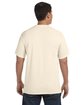 Comfort Colors Adult Heavyweight T-Shirt IVORY ModelBack