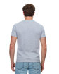 Threadfast Epic Unisex T-Shirt HEATHER GREY ModelBack